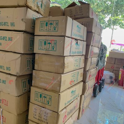 VINFAST TÂY HỒ